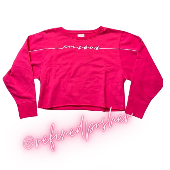 Rag & Bone Script Logo Cropped Hoodie size Large NWT Bright Rose MSRP $225 - Picture 2 of 4